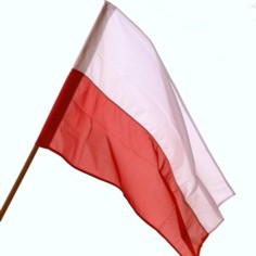Obchody Konstytucji 3 Maja, Dzień Flagi