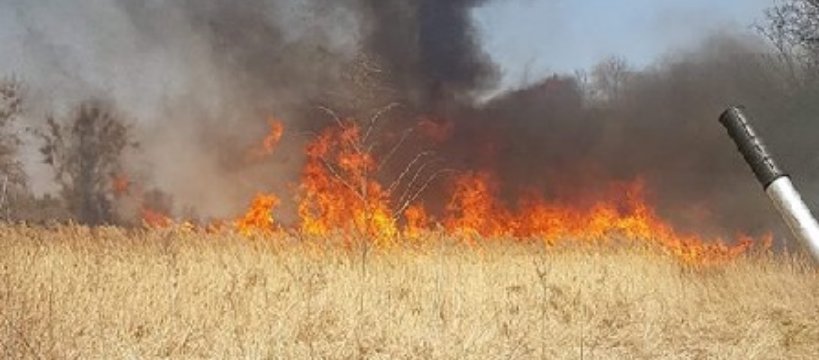 Pożar lasu w Dachowej - 15 zastępów straży uczestniczy w akcji - video