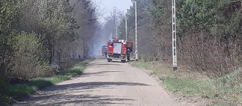 Pożar w Puszczy Kampinoskiej – 20 jednostek ratowało las