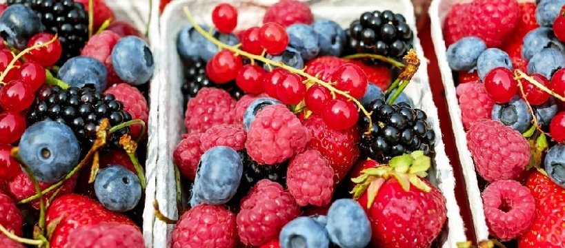 Informacja dla plantatorów i punktów skupu owoców i warzyw z terenu powiatu sochaczewskiego