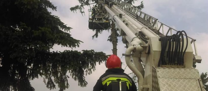 Uderzenie pioruna w drzewo na cmentarzu w Giżycach