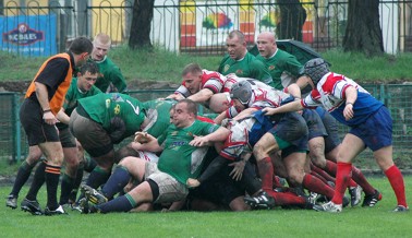 Tylko brąz