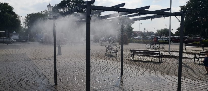 Plac Kościuszki - urząd zadbał o ludzi i zwierzęta