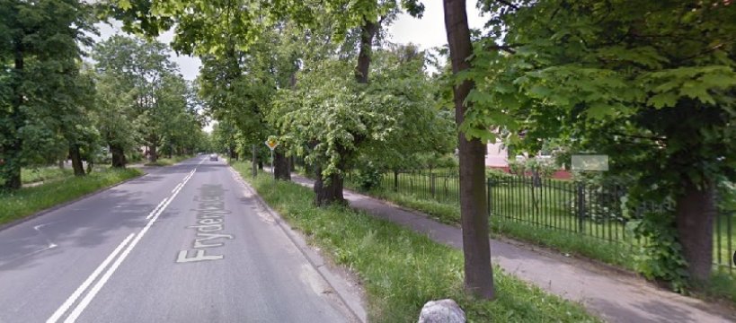 Drzewa w zabytkowej alei do Żelazowej Woli – konserwator zdecyduje co dalej