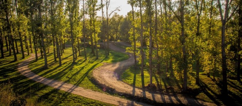 Miasto betonem zalane – marnujemy wodę na potęgę