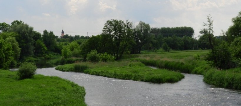 Spinningowe Mistrzostwa Koła Sochaczew - Miasto