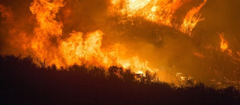 Ogromny pożar lasu w miejscowości Wilcze Śladowskie