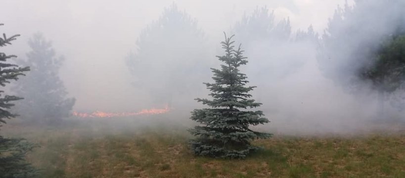 Pożar w Famułkach Brochowskich. Ogień przedostał się na posesję