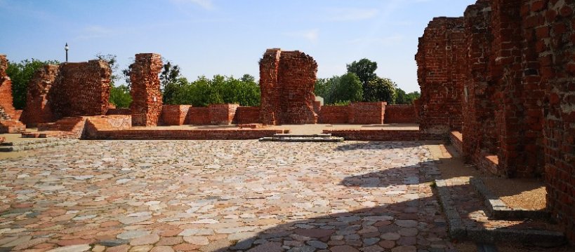 Miejski monitoring – jakie wykroczenia zdarzają się najczęściej