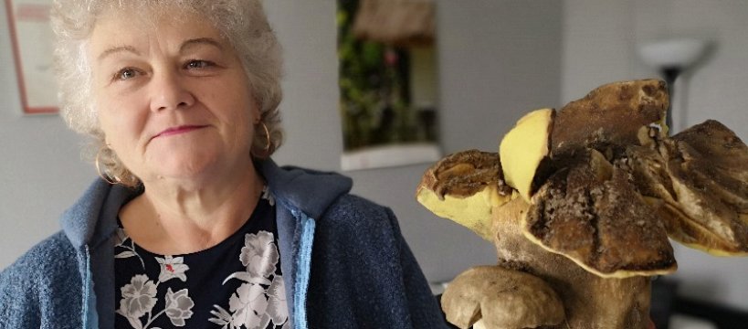 Okaz sezonu grzybowego - rekord zbiorów pobity 