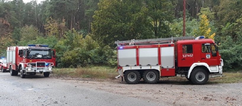 Kolejny dzień poszukiwań 76-letniego grzybiarza