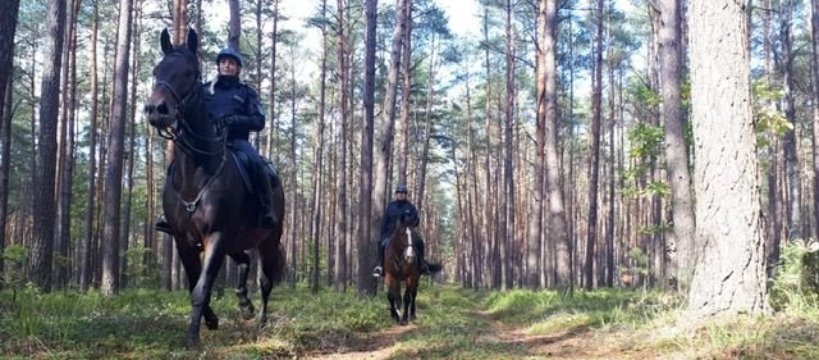 Szczęśliwy finał poszukiwań zaginionego grzybiarza