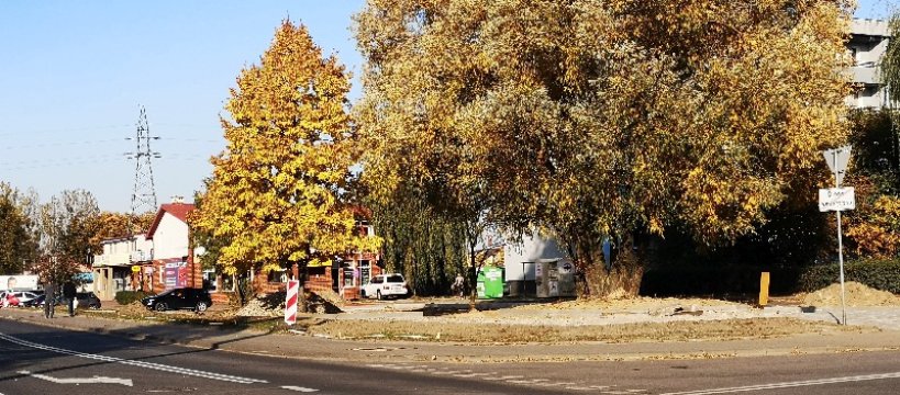 Parking przy al. 600-lecia - jest inwestycja i drzewa 