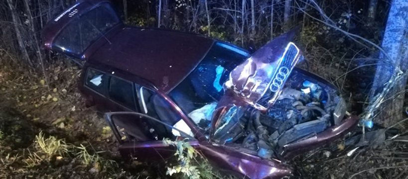O krok od tragedii. Samochód uderzył w drzewo w Lubiejewie