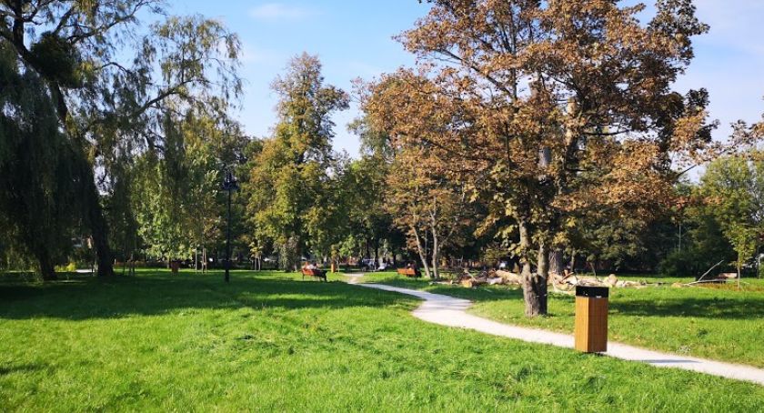 Zakaz używania dmuchaw do liści - nowy przepis dla mieszkańców terenu