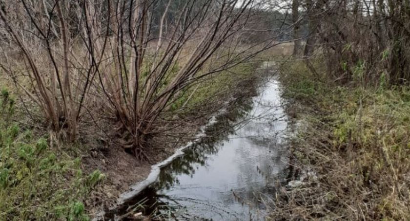 Prace utrzymaniowe na Kanale Mistrzewickim