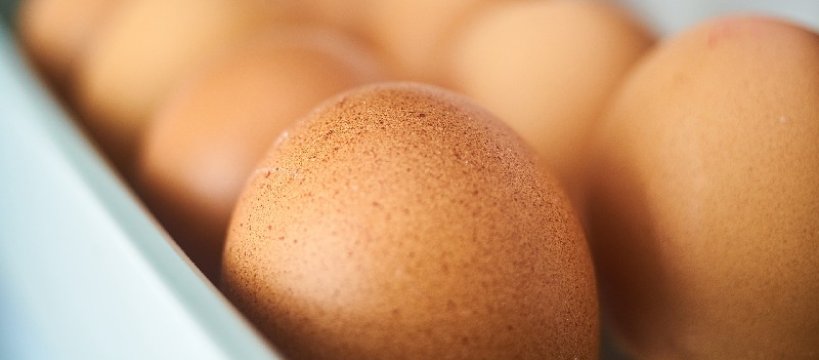 UWAGA salmonella!GIS wycofuje jajka z obrotu