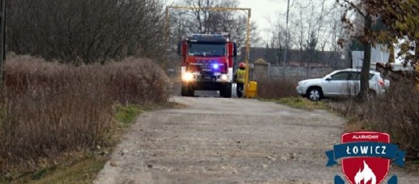 Ptasia grypa u sąsiadów - padło 15 tys. sztuk kaczek