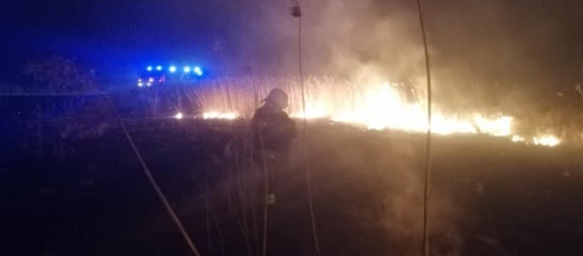 Pożar trzcinowiska w miejscowości Władysławów 