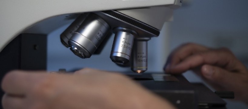 Koronawirus Sochaczew - sytuacja epidemiologiczna z dnia 29 marca 