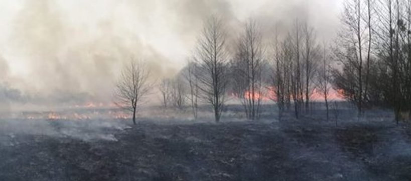 Ogromny pożar traw na granicy dwóch powiatów