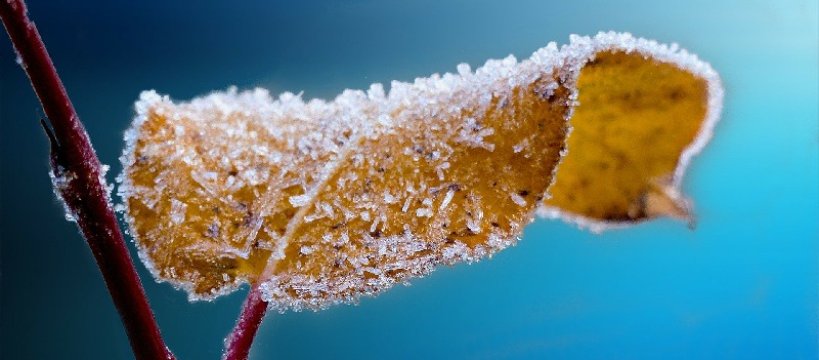 Uwaga - na sochaczewskich drogach będzie ślisko 