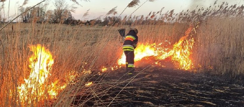 Pożar nieużytków w Sielicach 
