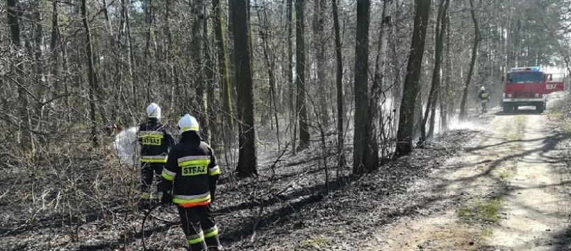Strażacy mieli ręce pełne roboty