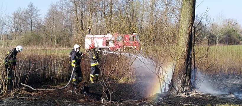 Pracowity dzień strażaków z OSP w Kamionie 