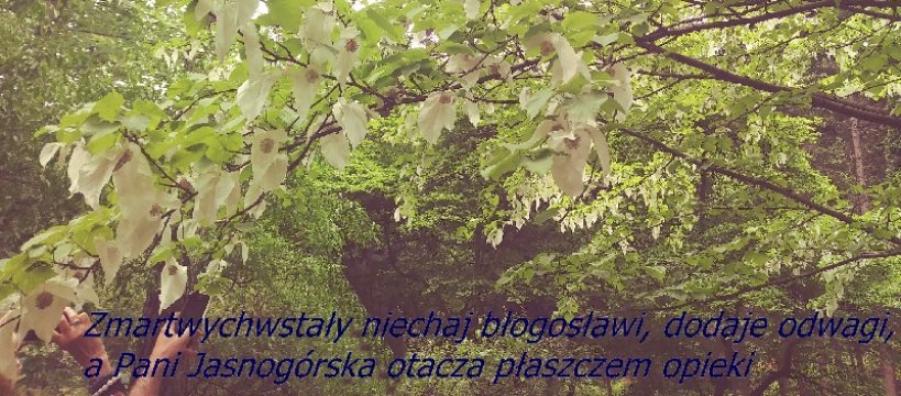 Jeszcze będzie pięknie, jeszcze będzie normalnie"