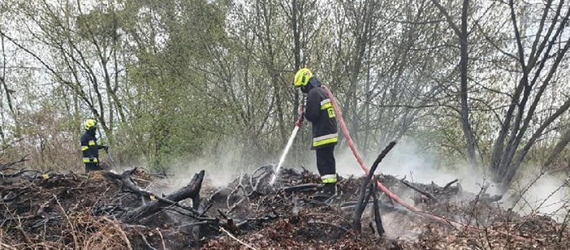 Pożar nieużytków w Sochaczewie 