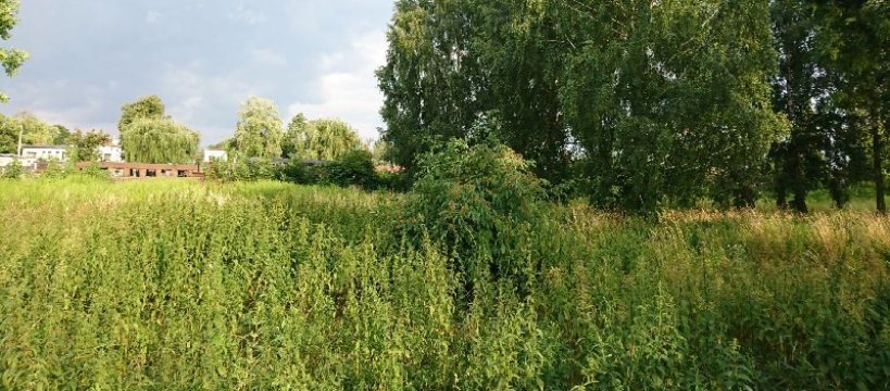 Koronawirus - od kiedy i jakie zakazy zostają zniesione?