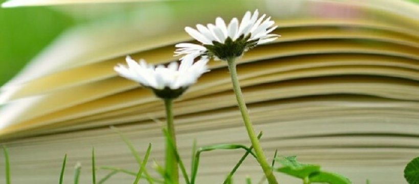 Konkurs. Wyrusz na fascynującą przygodę z książkami!