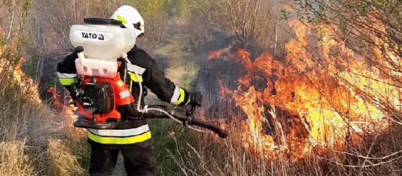 Spłonęły 2 hektary trzcinowisk i traw