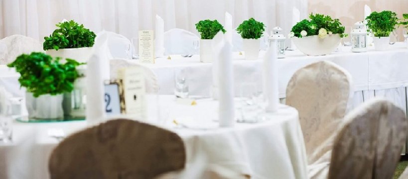 Wesela i majówka - czy będzie możliwość spotkania?