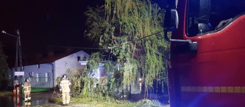 Zerwana linia elektryczna w Elżbietowie