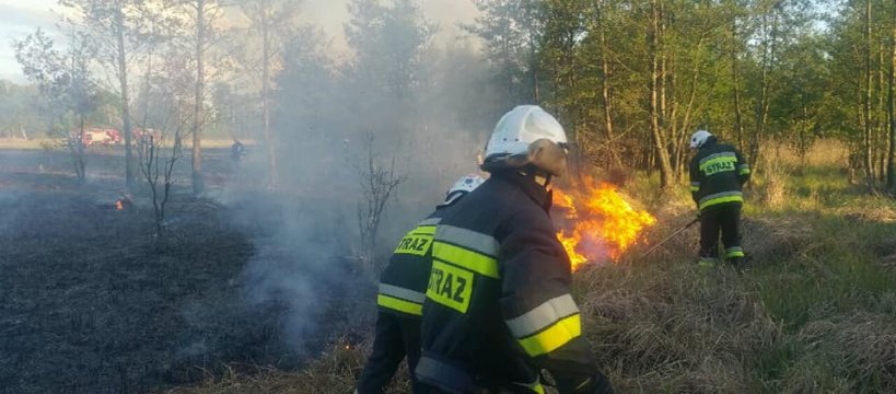 Lasocin: Pożar strawił 1,5 ha traw i zarośli 