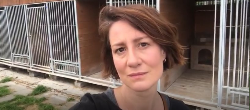 Maja Ostaszewska o Azorku - podziękowania i apel [wideo]
