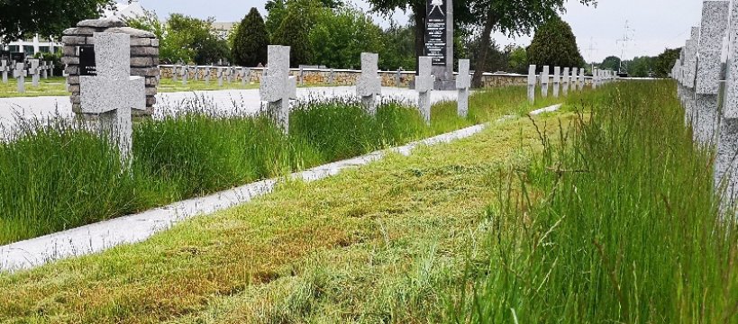 Trawy w mieście – koszenie trwa w najlepsze 