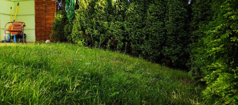 Oczko wodne dla mieszkańców Sochaczewa - sprawdź szczegóły 