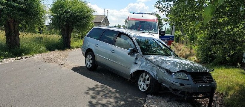 Auto uderzyło w drzewo - kierowca trafił do szpitala