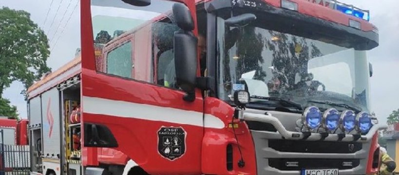 Paprotnia: Pożar skrzynki elektrycznej 