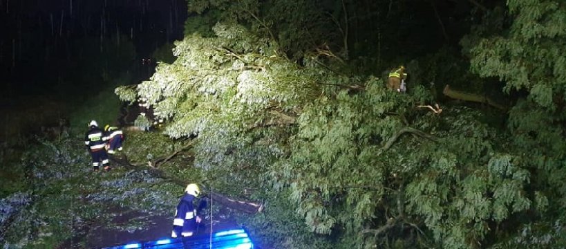 Strażacy usuwali skutki burzy: na odcinku 50 m wiatr powalił 8 drzew