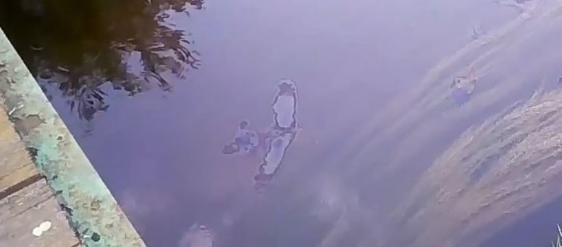 Od wczoraj służby walczą z zanieczyszczeniem Bzury