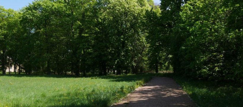 70 tys. zł dofinansowania na II etap prac renowacyjnych Zabytkowego Parku