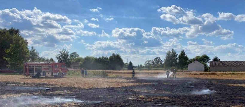 Pożar trawy w miejscowości Jeżówka