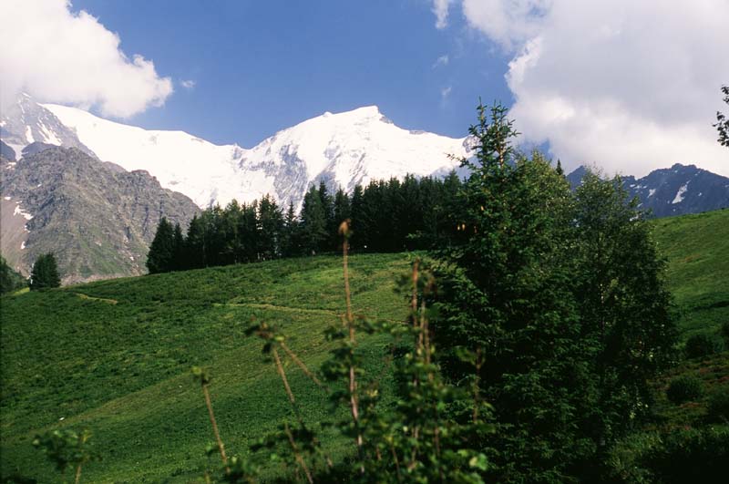 Marcin Kruczyk na szczycie Mont Blanc