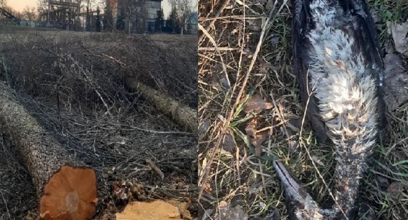 Bzura - tniemy bez opamiętania 