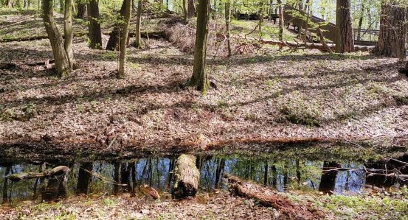 Mazowsze bliskie sercu – konkurs fotograficzny dla wszystkich