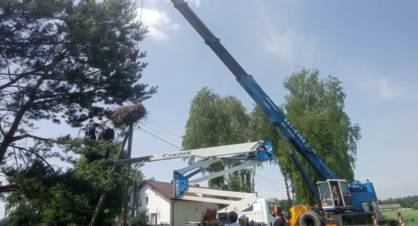 Bocianie gniazdo w Helenowie uratowane
